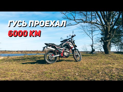 Minsk goose 400 - опыт эксплуатации. Проехали 6000 километров.