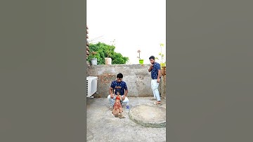 Loop video funny vfx girl on hand magic | Kinemaster editing | Ayan mechanic