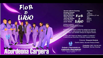 flor de lirio - Fallaste corazón  (acordeona carpera 2013)