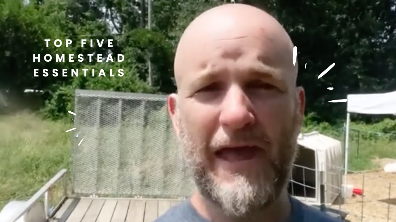 Top FIVE Homestead Essentials