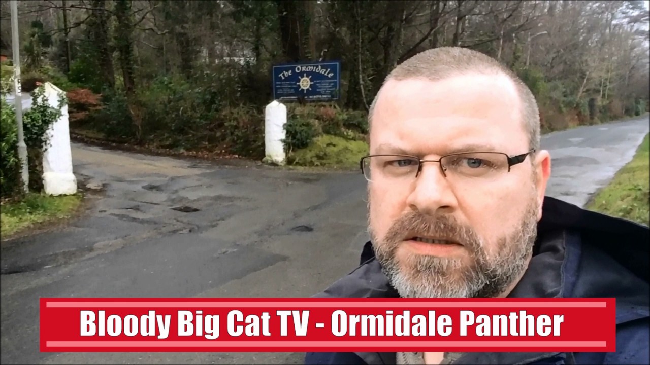 The Legend of the Ormidale Black Panther