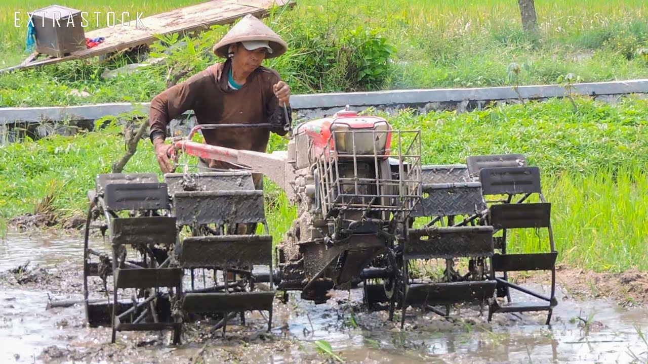 Двойное колесо! Тракторы рисового поля используют двойные колеса, потому что поле очень глубокое