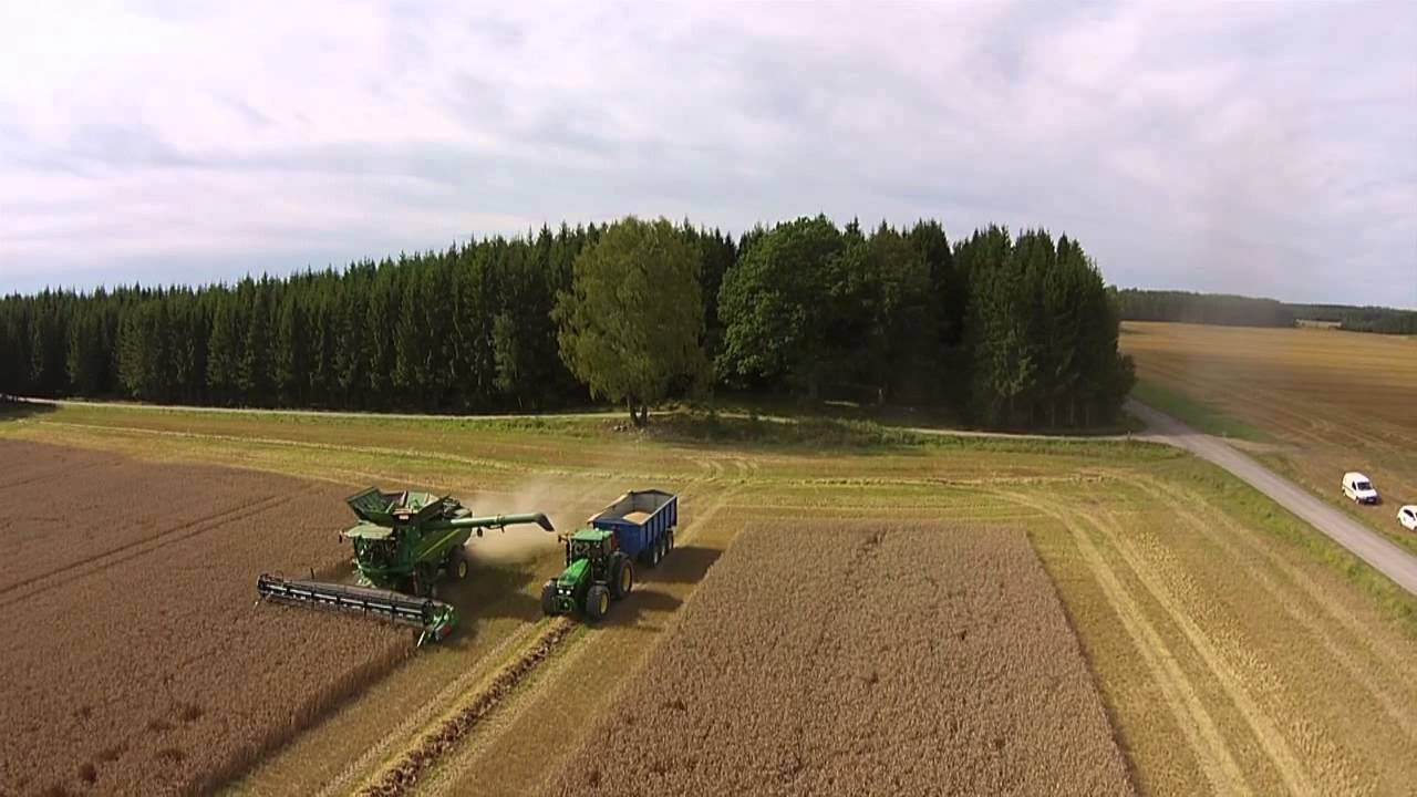 Tröska Koberg. Harvesting at Koberg
