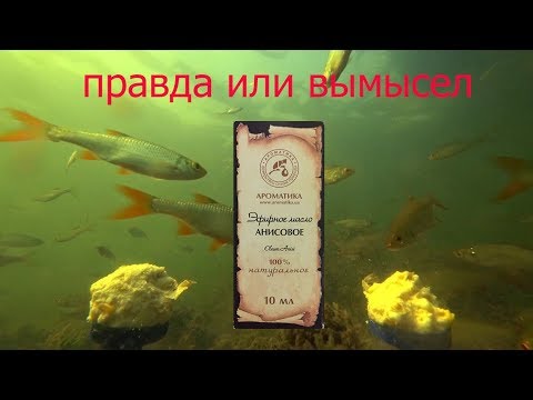 Анисовое масло реакция рыбы,стоит ли добавлять,подводная съемка