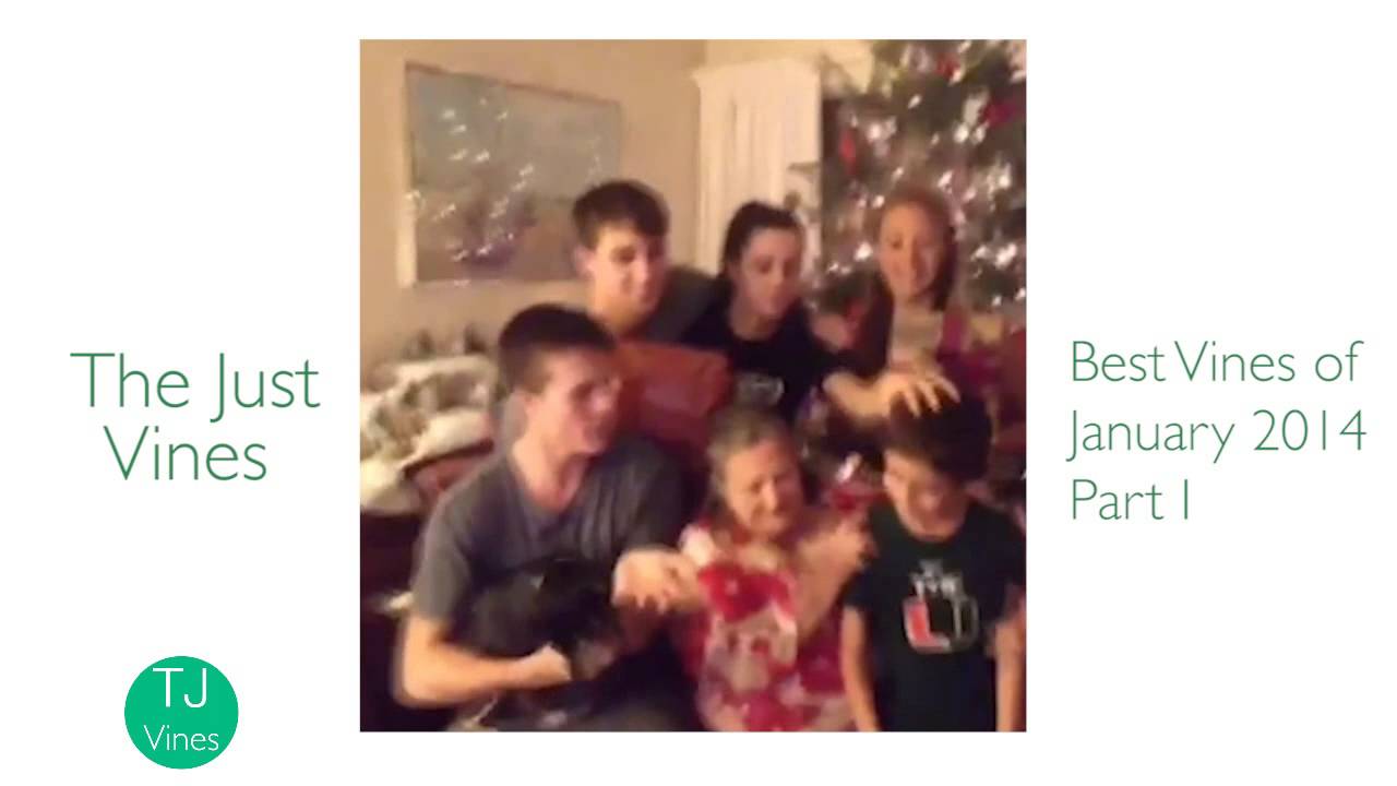 BEST VINES OF JANUARY 2014 - Part I