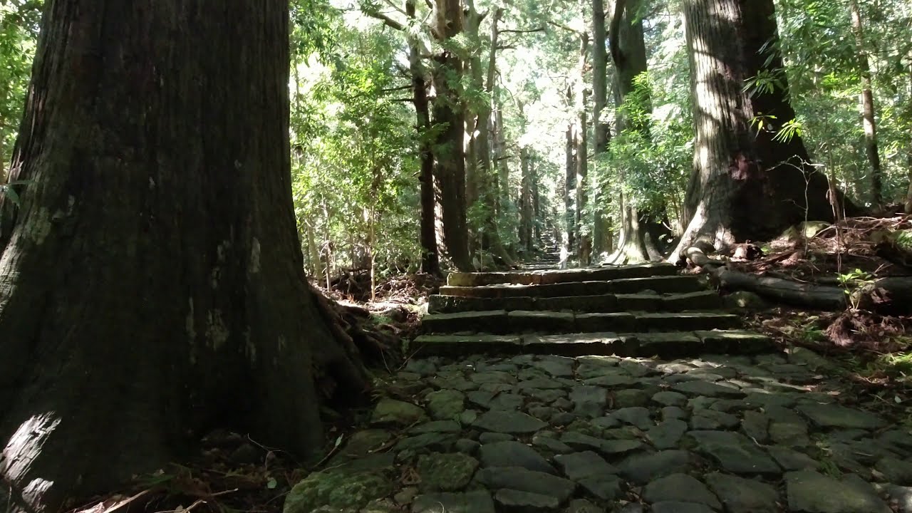 熊野古道　大門坂　Kumano Kodo Daimonzaka Slope