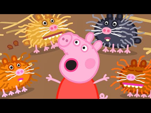 Video per Bambini | Nuovo episodio 13| Peppa Pig Italiano