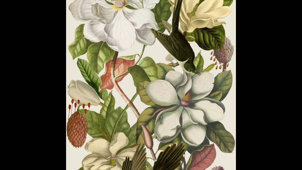 [FREE] TOM MISCH X ANDERSON .PAAK TYPE BEAT | CARRY ON