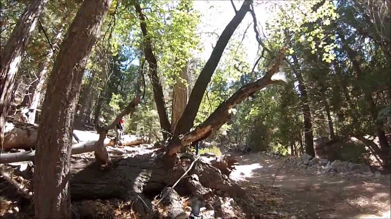 The Airsoft Camp - Rescue the Hostage