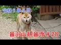 音羽山観音寺#28 2023年・皐月