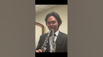 1 Day VS 10 Years of playing Clarinet #clarinet #memes #classicalmusic #music #shorts #piano
