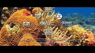 Final Seconds Of End Credits Transitioning Underwater - Set 2