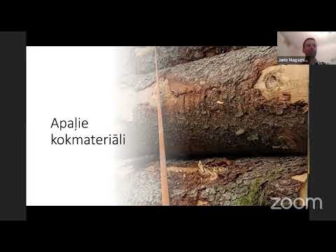 Video: Lielākais koks pasaulē: vārds un fotoattēls