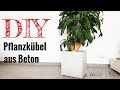 Pflanzenkübel / Blumentopf aus Beton selber bauen / DIY / Betonmöbel