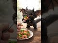 Michydragon tiene hambre #cat #funny #cute