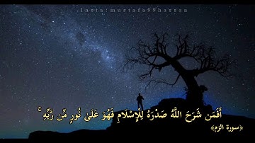 تلاوة عذبة تشرح الصدر من سورة الزمر  ﴿أفمن شرح الله صدره  للإسلام فهو على نور من ربه﴾