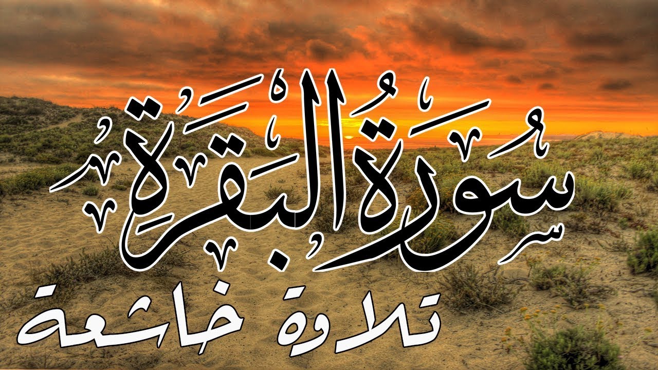 سورة البقرة كاملة | القارئ عمر شلبى Surah Al-Baqarah