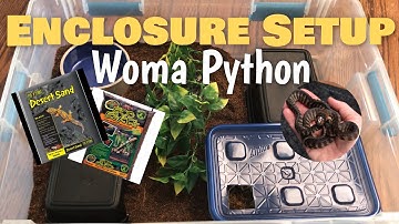 Intro Enclosure Setup for Baby Woma Python