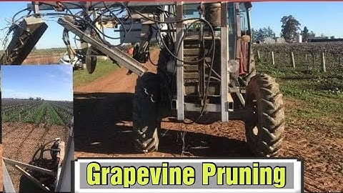 HOW TO PRUNE GRAPE VINES  || Mechanical Grapevine Pruning, AUSTRALIA