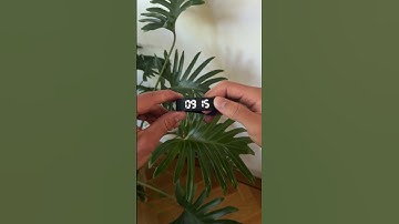 How to Set Up Your FitSleeps Pro – Step-by-Step Instruction Guide