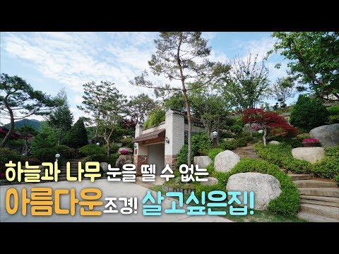 1인가구이사