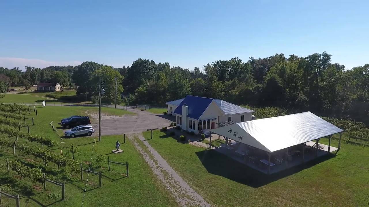 Vision Aerial Services