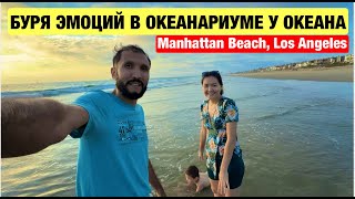 картинка: Буря семейных эмоций в океанариуме на побережье Тихого океана | Манхэттен-Бич| Лос-Анджелес