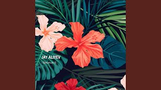 Video thumbnail of "Jay Aliyev - I Believe It"