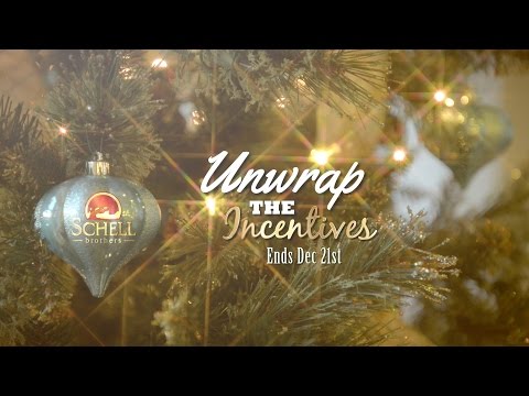 Home for the Holidays