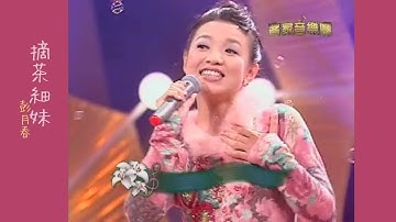 摘茶細妹 -客家流行歌曲