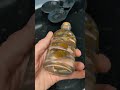300 million-year-old fossils in a bottle