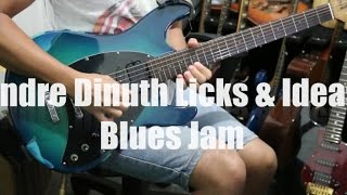Andre Dinuth - Licks & Ideas Blues Jam