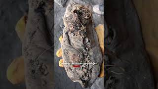 Dünyanın En Eski Ayakkabısı 5.500 Yıldır Bozulmadı