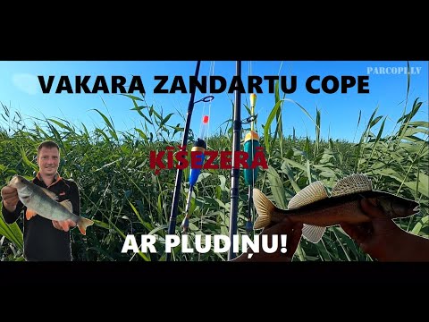 Video: Kā Pagatavot Zandartu Kaviāru