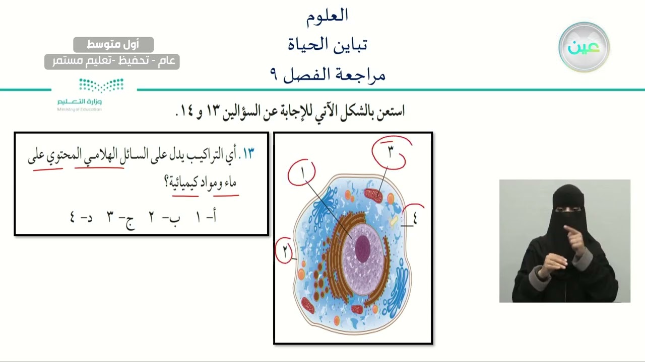 تباين الحياة (مراجعة الفصل 9 ) - العلوم - أول متوسط
