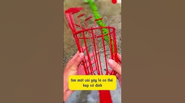 Vợt hái trái cây trên cao, dễ dàng sử dụng,  hoa quả không bị dập nát