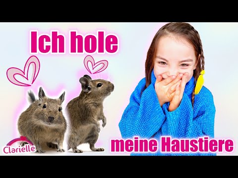 Video: Kann Mein Haustier Die Schweinegrippe Bekommen?