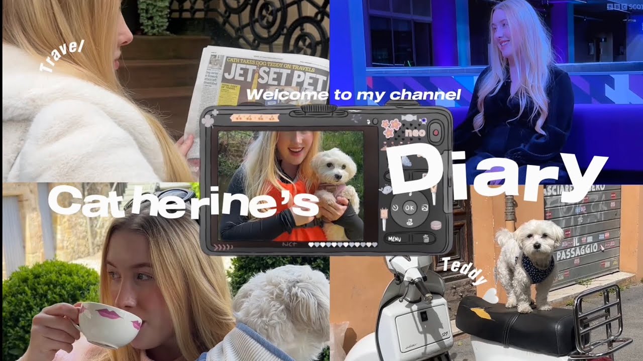 How to travel with a dog back into the UK 🛩️🐩📸🗞️