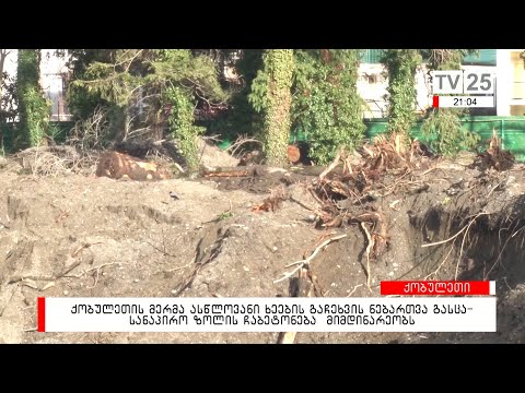 რატომ მოიჭრა ასწლოვანი ხეები ფიჭვნარში