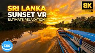 Relaxing Evening Boat Ride 🌅🚤 | Golden Sunset in Sri Lanka | 8K 360 VR Experience