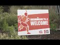 Traffic alert: Ironman 70.3 triathlon causes widespread road closures in Rockford