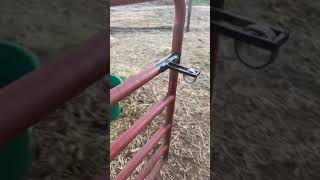 Homemade Gate Latch