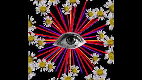EYEDEAS Process by Sara Noe | Collective