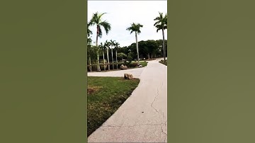 Millions visited this ZOO in the 60