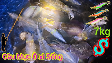 nghề câu mực của ngư dân biển đảo và cách câu mực bằng nhiều con tôm mồi / lặn biển 3