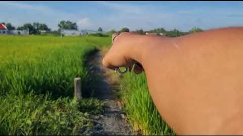 Bán1000m2 Đất lúa Lô2 tuyến đường liên xã tân ân phước tuy chỉ 30m giá 1 tỷ