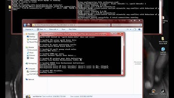 4.0.6 Private Server Problem