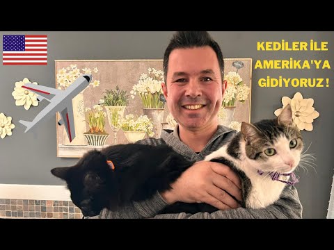 Video: Hayvan Kepçe: Kedi Florida'ya Binmek Hitches, Şili Şeytan Işınları Hızlı ve Derin Dalış
