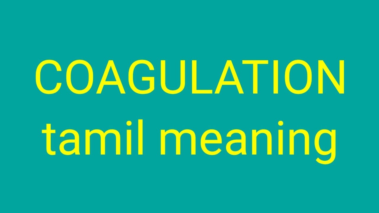 Coagulation Tamil Meaning Sasikumar Youtube