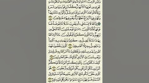 سورة البقرة من الآية ٢٥ إلى الآية ٢٩ بصوت القارئ #ماهر_المعيقلي